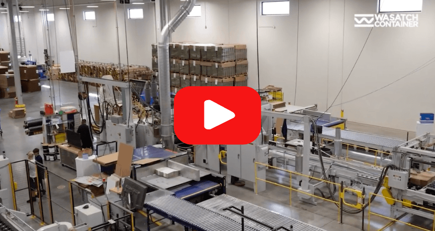 Wasatch Company Video | TSquared Marketing | Toronto, Ontario, Canada